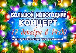 17   -  
