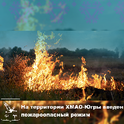 ������ ����������!