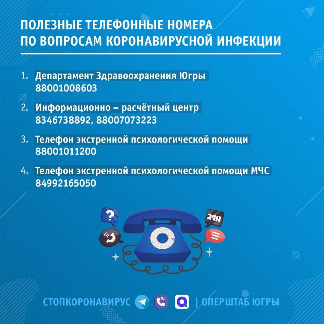 Y2zP36Imoso.jpg