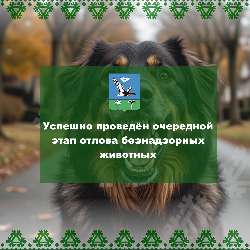 ������ ����������!